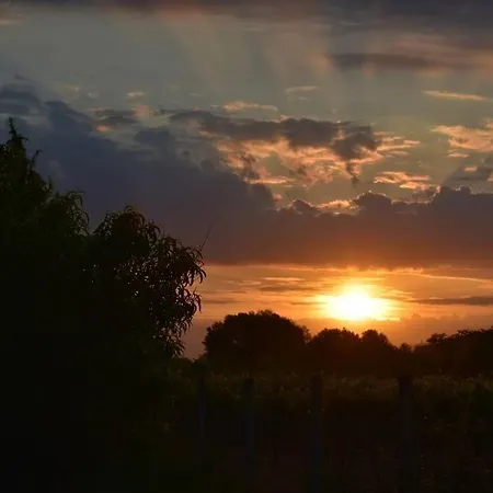 Feriehus Boroka Tanya *