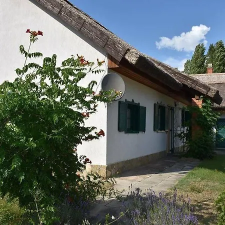 Boroka Tanya Orgovany